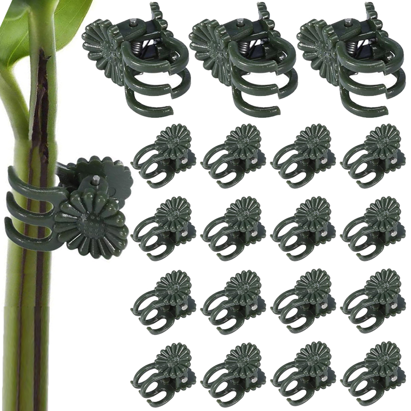 Plant Parent Tools - Pinces à Plantes de Vigne, Support