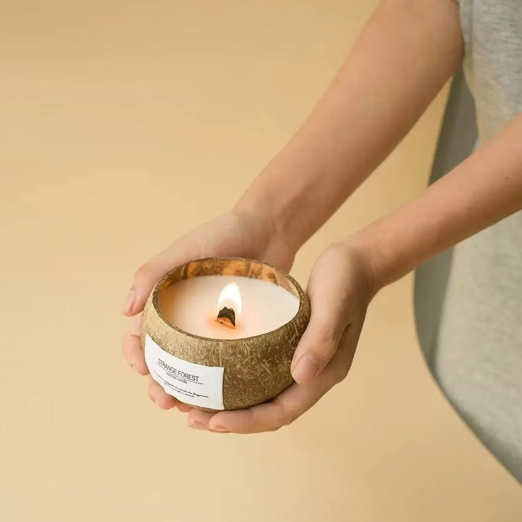 Bougie parfumée en coquille de - Plant Parenting avis et prix