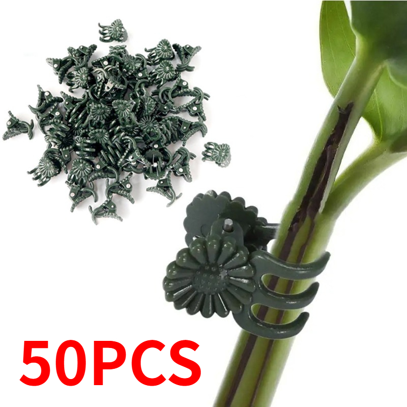 50 pinces de jardinage vert fo - Plant Parent Tools avis et prix