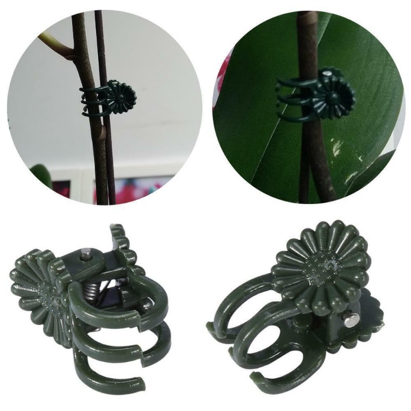 50 pinces de jardinage vert fo - Plant Parent Tools avis et prix