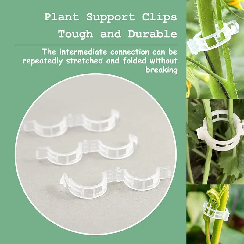 FiosphTool-Clips réutilisables - Plant Parent Tools avis et prix