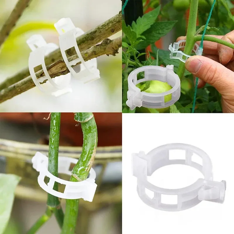FiosphTool-Clips réutilisables - Plant Parent Tools avis et prix
