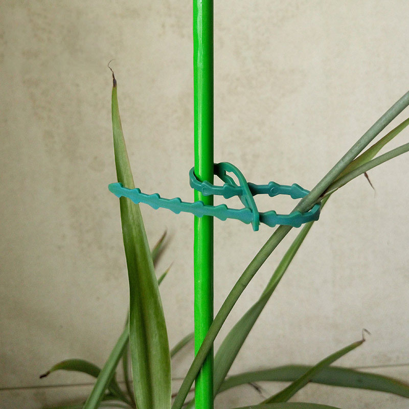 Attaches de câbles de jardin r - Plant Parent Tools avis et prix