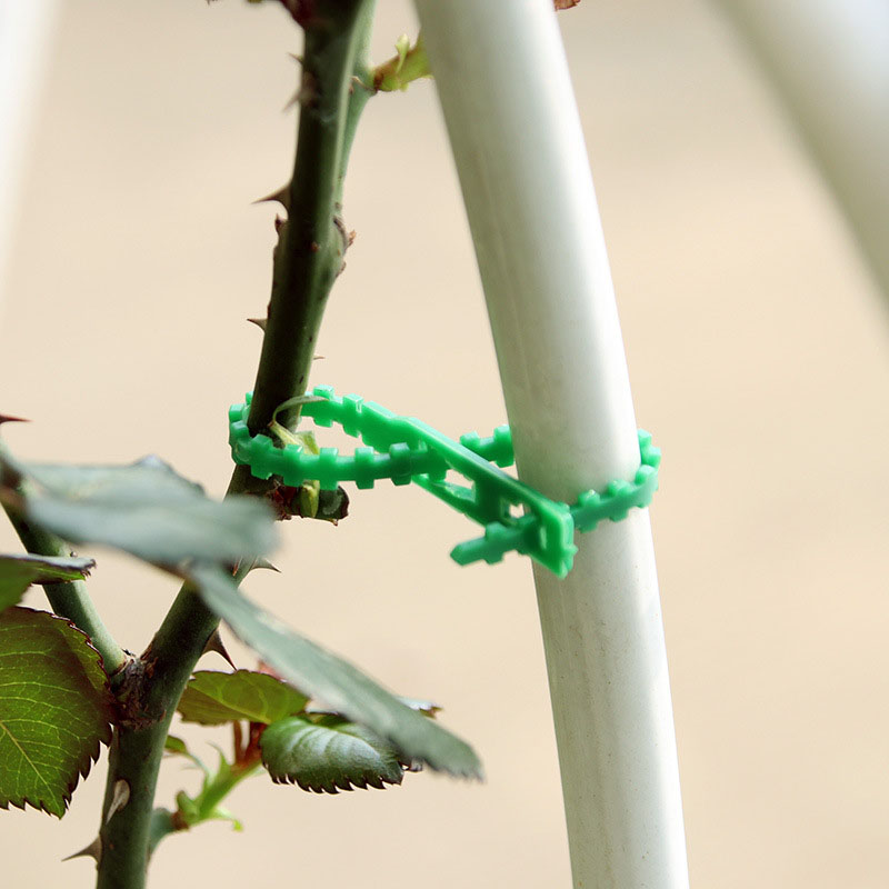 Attaches de câbles de jardin r - Plant Parent Tools avis et prix