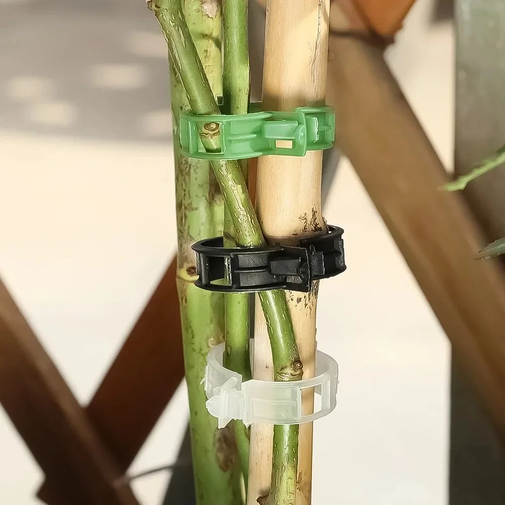 100/10 Pièces Clips de Soutien - Plant Parent Tools avis et prix