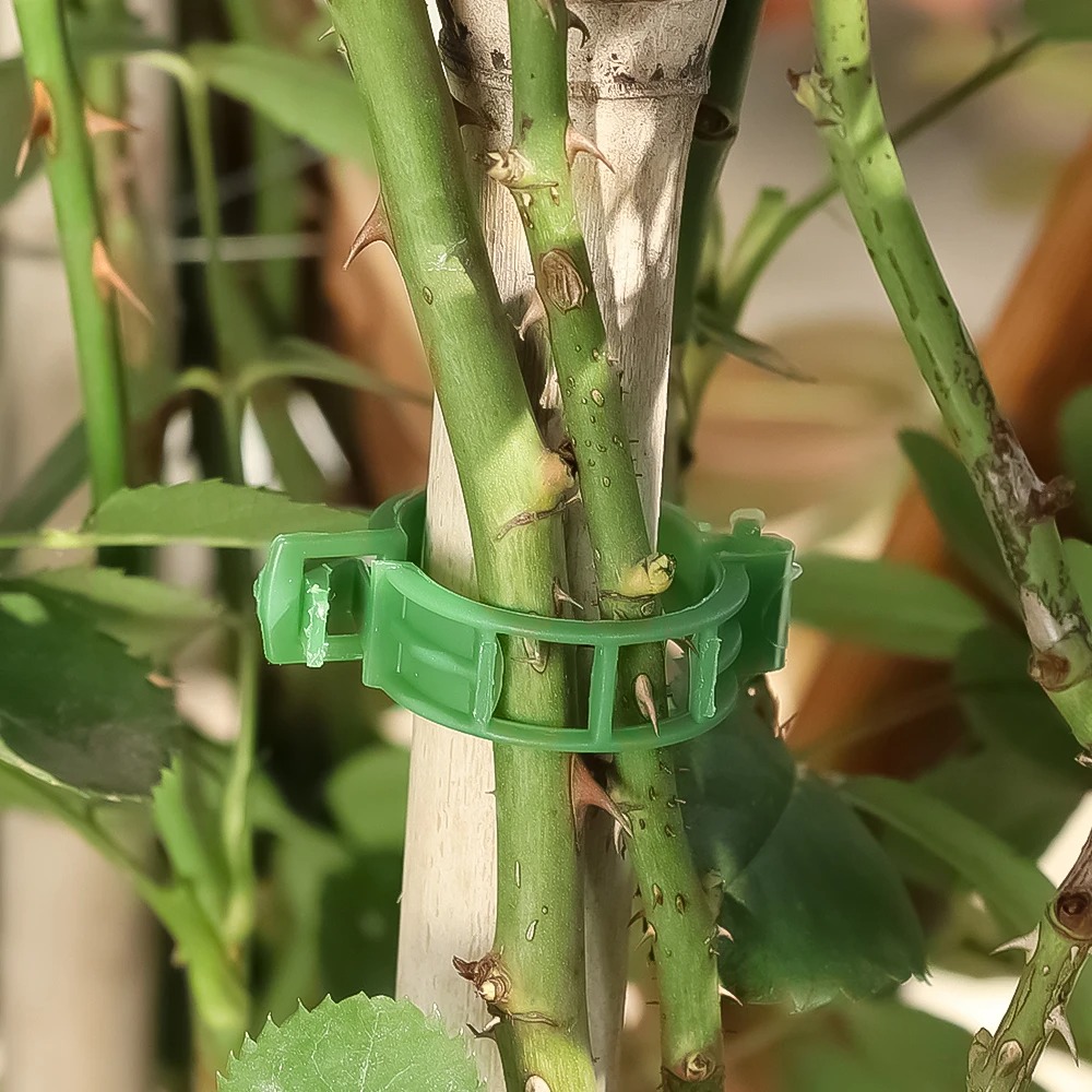 100/10 Pièces Clips de Soutien - Plant Parent Tools avis et prix