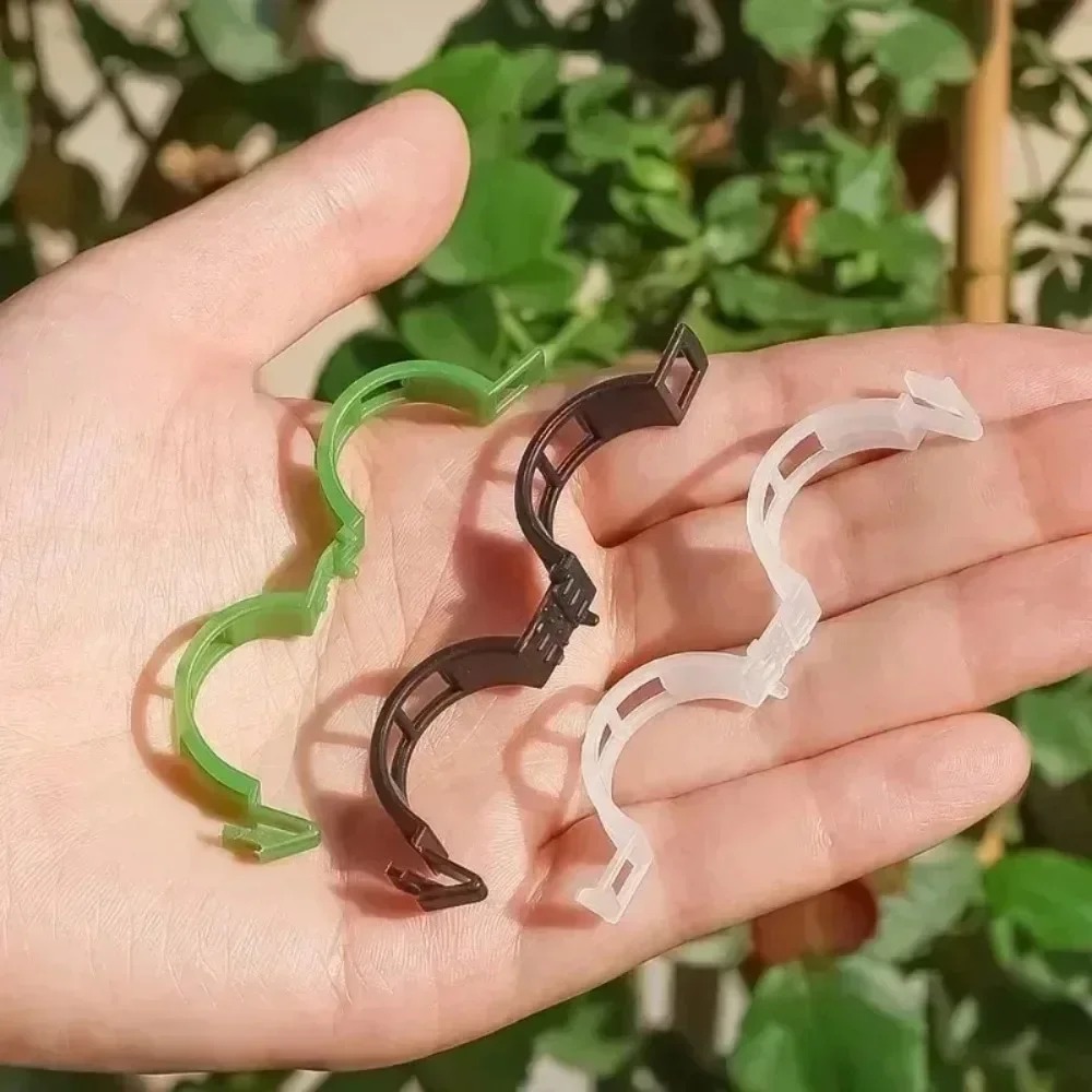 100/10 Pièces Clips de Soutien - Plant Parent Tools avis et prix
