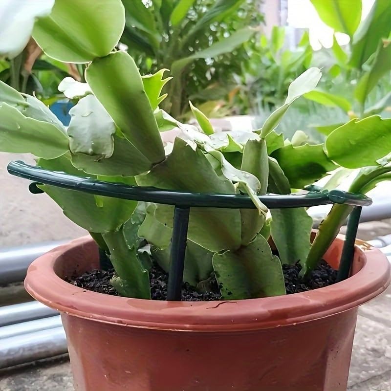 Support de plante en plastique - Plant Parent Tools avis et prix
