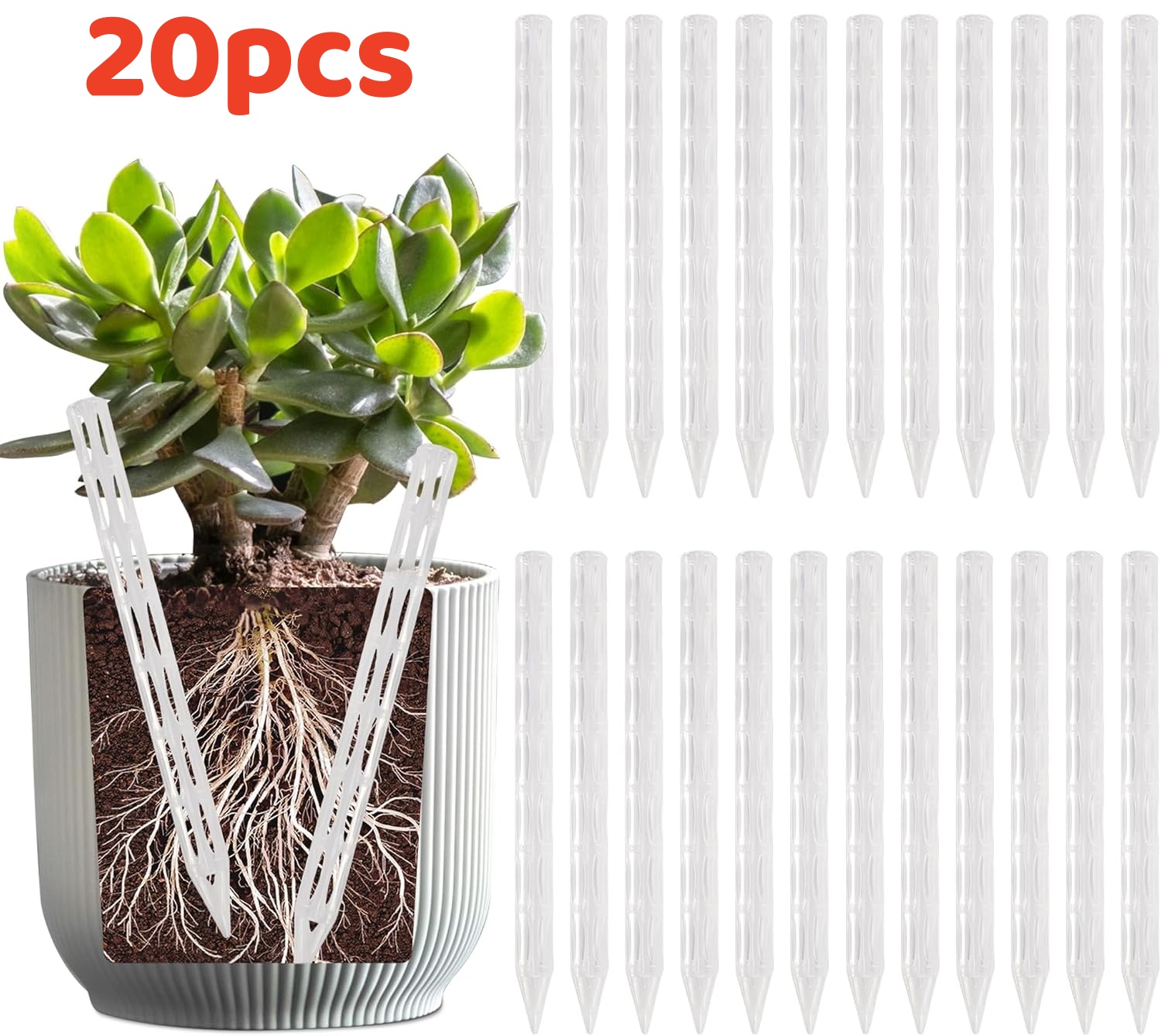 Tuyaux de drainage pour éviter - Plant Parenting avis et prix