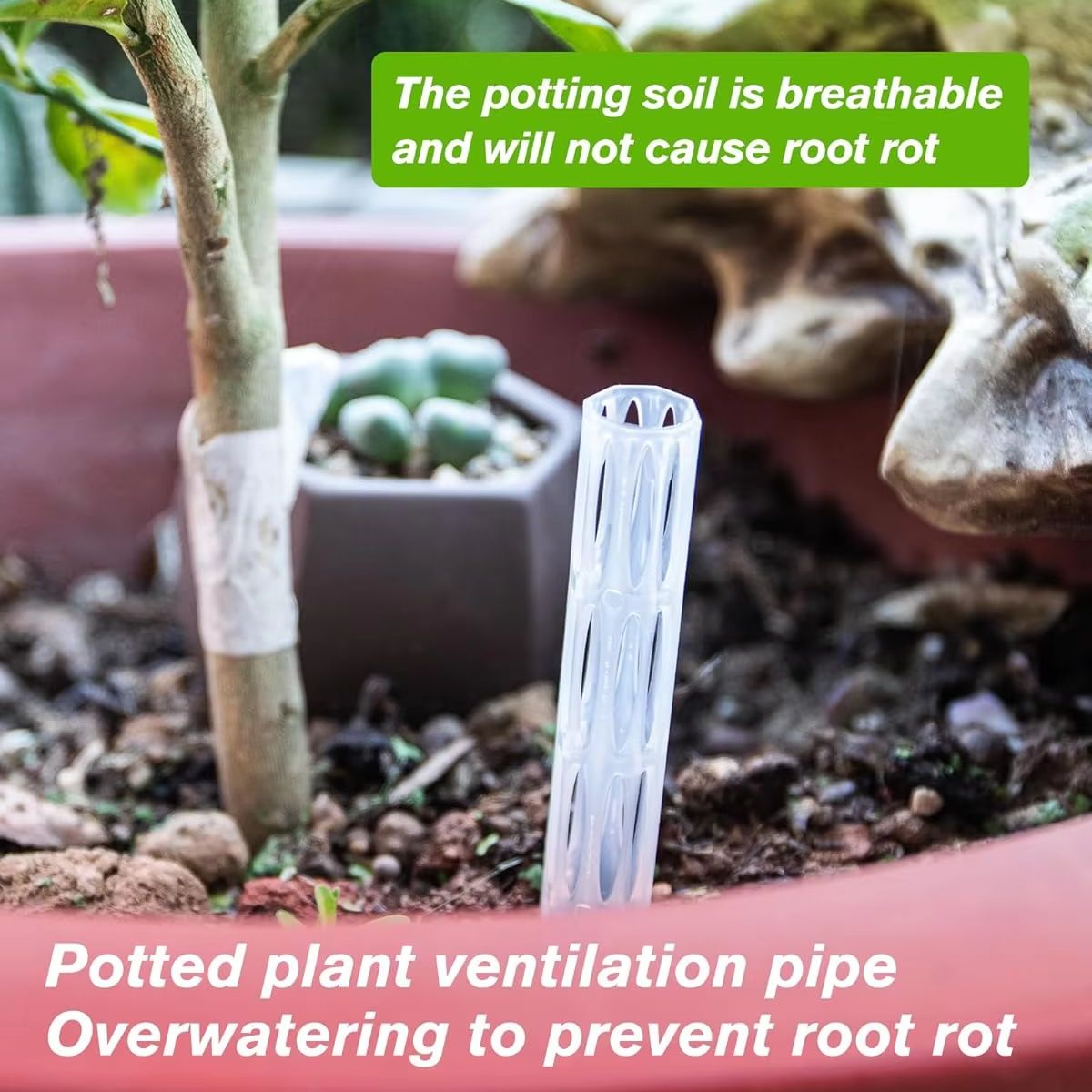 Tuyaux de drainage pour éviter - Plant Parenting avis et prix