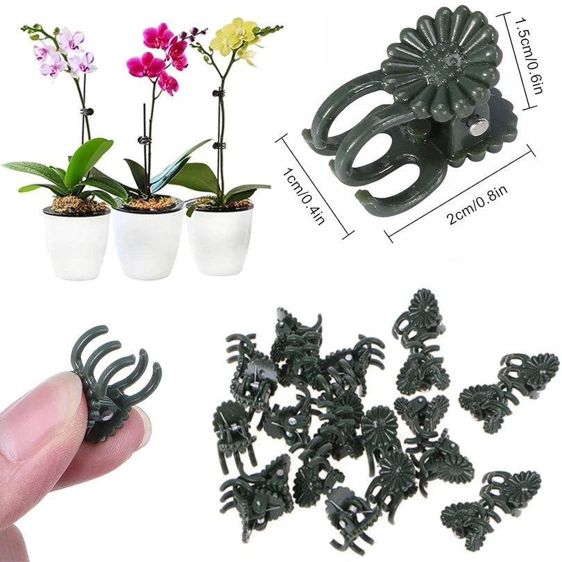 Pinces à Plantes de Vigne, Sup - Plant Parent Tools avis et prix