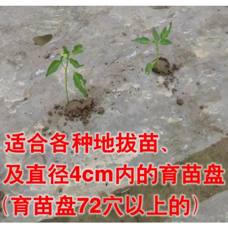 Transplanteur de semis agricol - Plant Parent Tools avis et prix