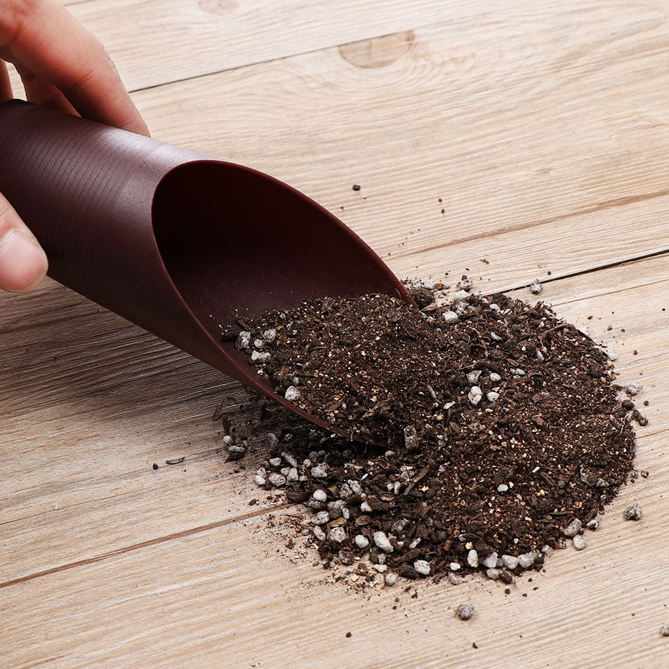 Tasse de pelle à sol en plasti - Plant Parent Tools avis et prix